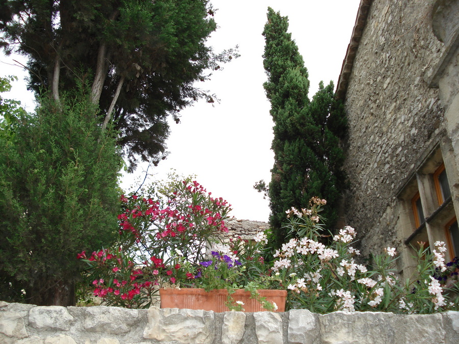gal/2007-06 photos Vaison/DSC01718.JPG